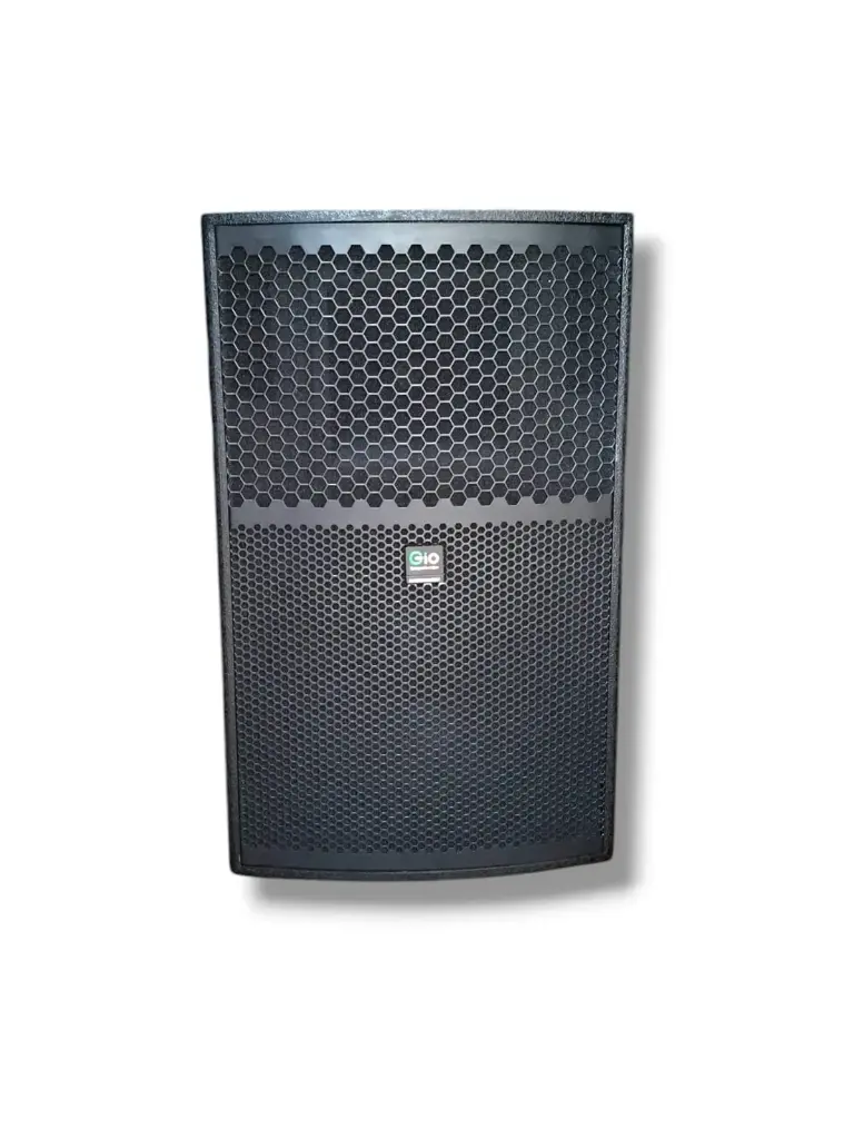 BOCINA PROFESIONAL AMPLIFICADA GIO151DSP