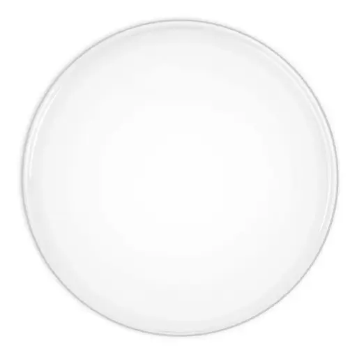 [NS110] NS110 PARCHE DE ACEITE NIKO SOUND 10"